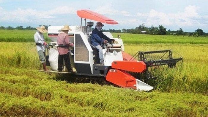 Traktor EF393T Agricultural Equipment rental Manado